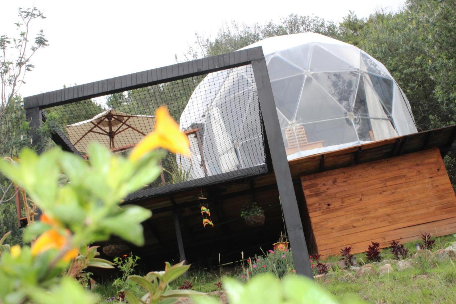 Glamping La Villa Guatavita Exteriör bild
