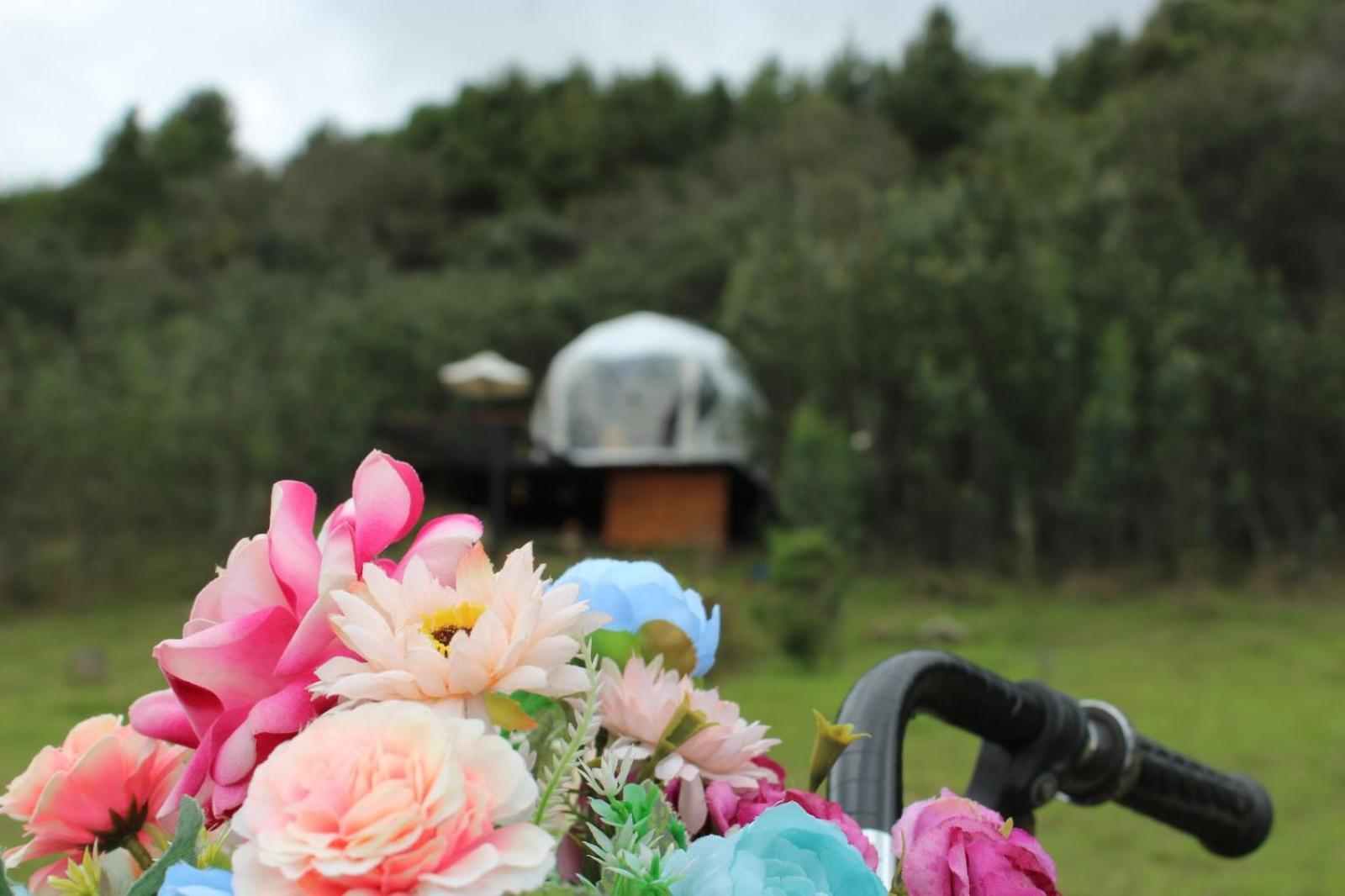 Glamping La Villa Guatavita Exteriör bild