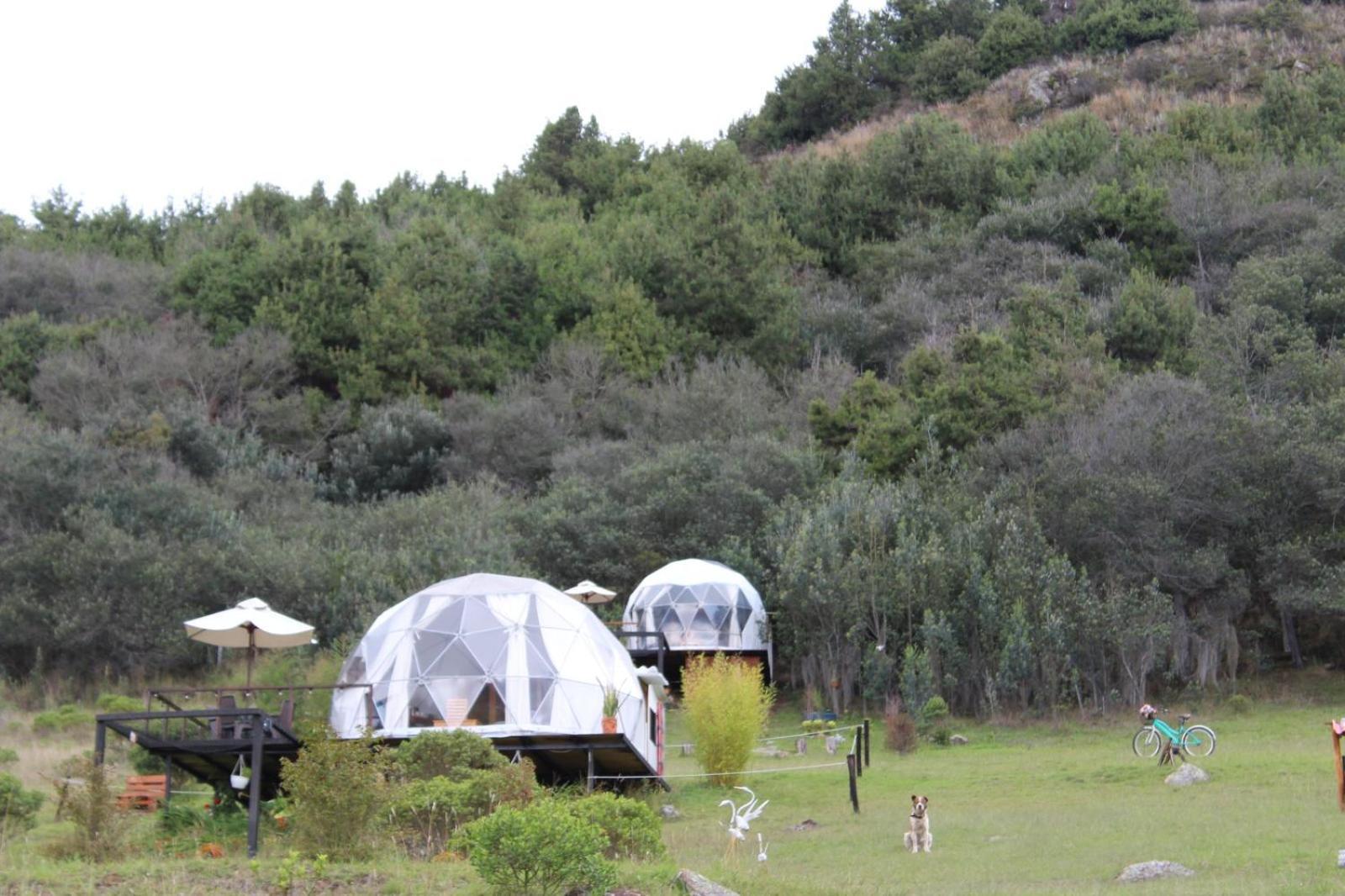 Glamping La Villa Guatavita Exteriör bild